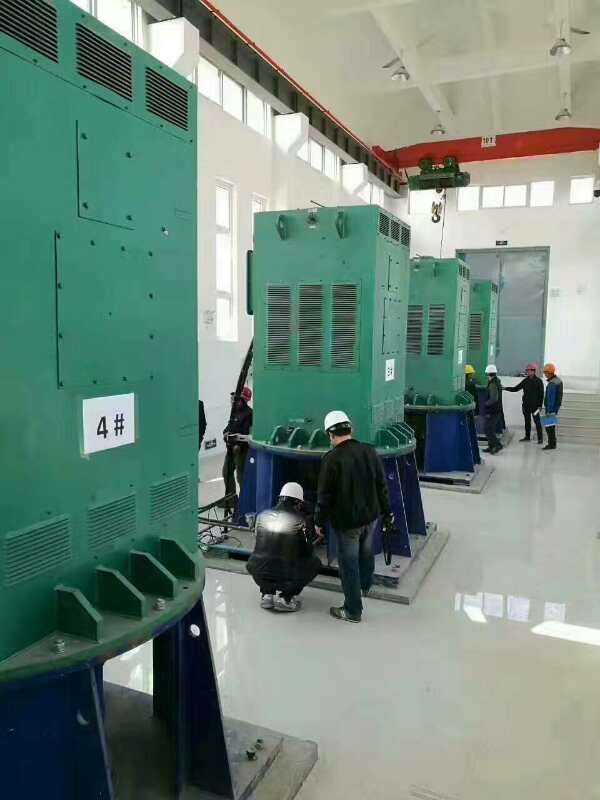 YKK7106-16某污水处理厂使用我厂的立式高压电机安装现场